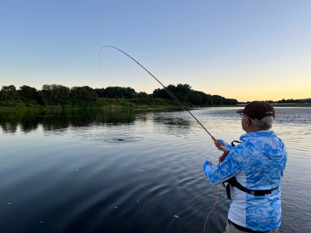 Bass fishing on the Susquehanna River is unique – Reading Eagle